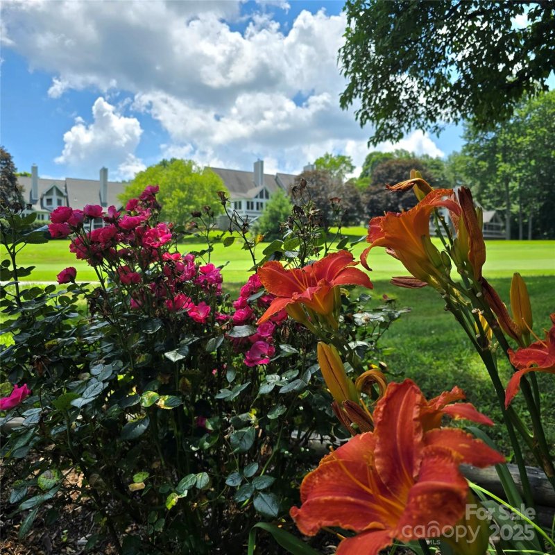 Property image 4 at 118 Broadmoor Drive, Flat Rock, NC 28731