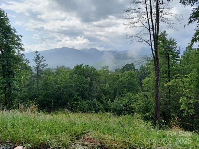 Property image 2 of Lot 19 Summit View Parkway in SUMMIT VIEW, Spruce Pine, NC 28777