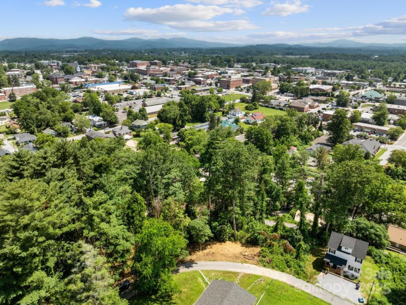 Toms Hill Park, Hendersonville Community