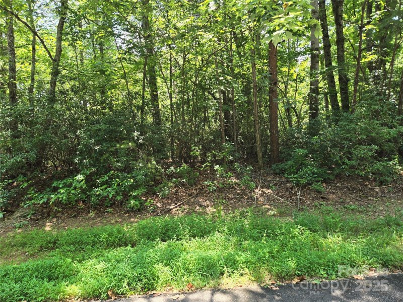 Property image 2 at Lot 50 Flynn Court, Lake Lure, NC 28746