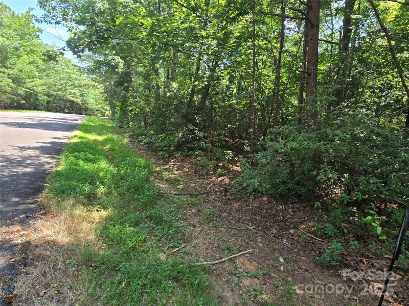 Property image 3 at Lot 50 Flynn Court, Lake Lure, NC 28746