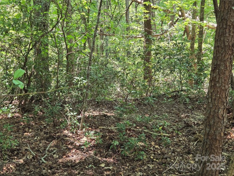 Property image 4 at Lot 50 Flynn Court, Lake Lure, NC 28746