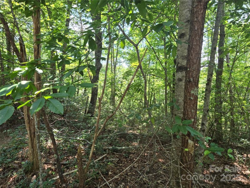 Property image 5 at Lot 50 Flynn Court, Lake Lure, NC 28746