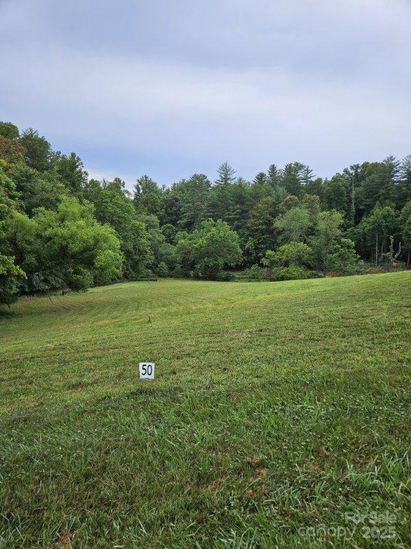 Property image 2 at 9999 Settlers Trail, Mars Hill, NC 28754