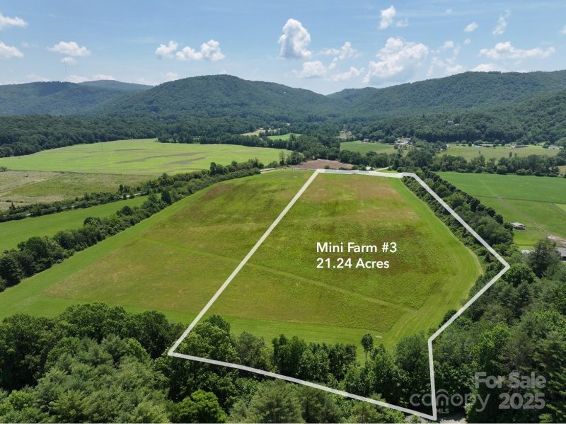 Property image 2 of Mini Farm 3 Tbd Coventry Drive in Chasewood, Brevard, NC 28712