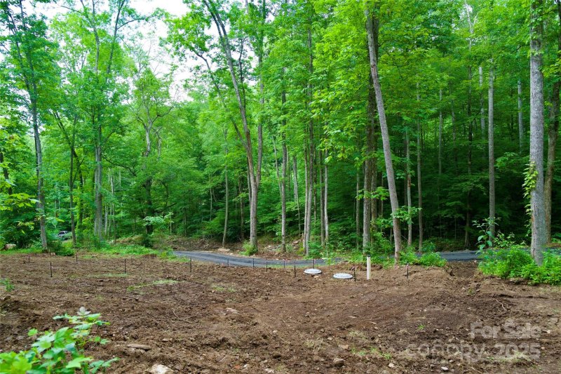 Property image 5 of 000 Shadowwood Drive in Shadowood section II, Spruce Pine, NC 28777