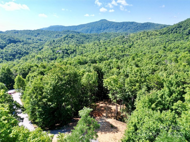 Property image 3 of 1915 Catawba Falls Parkway in Catawba Falls Preserve, Black Mountain, NC 28711