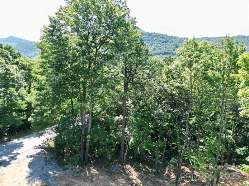 Property image 4 of 1915 Catawba Falls Parkway in Catawba Falls Preserve, Black Mountain, NC 28711