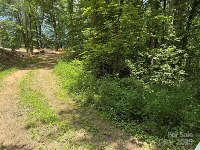 Property image 3 of 10 Katua Trail in Katua Falls, Maggie Valley, NC 28751