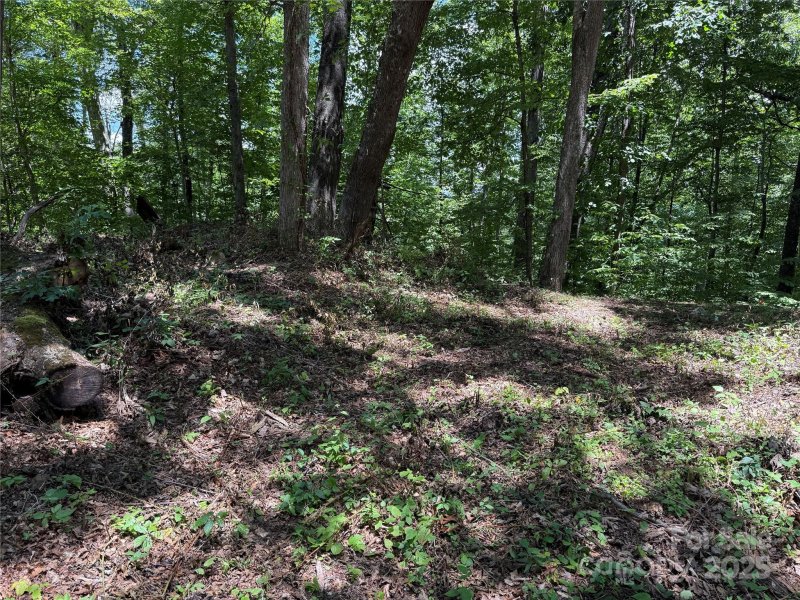 Property image 4 of 10 Katua Trail in Katua Falls, Maggie Valley, NC 28751