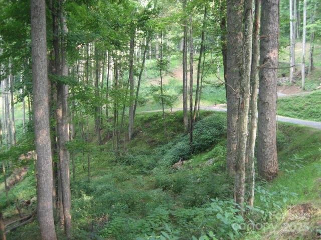 Property image 5 of 10 Katua Trail in Katua Falls, Maggie Valley, NC 28751