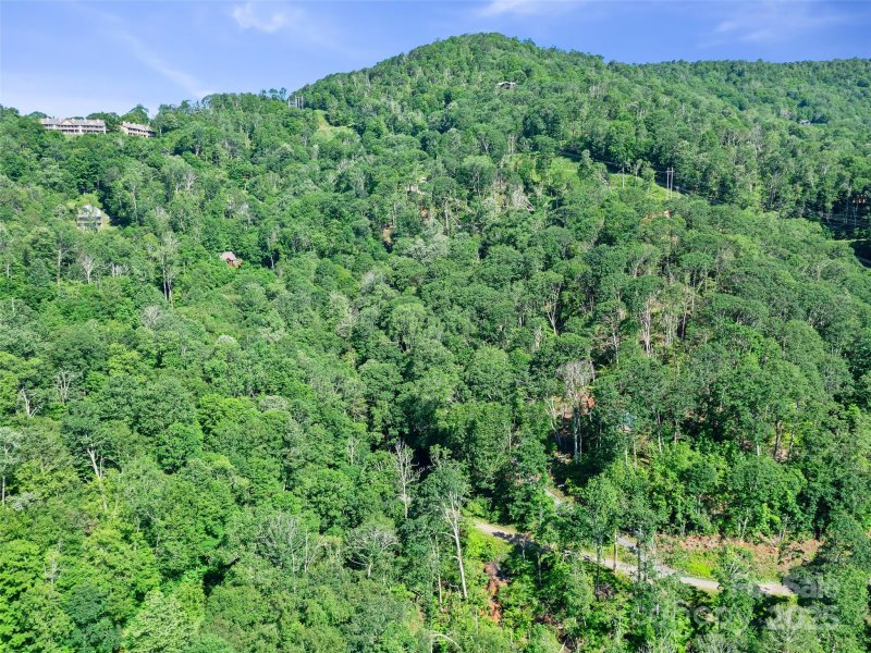 Property image 2 of 0 Chestnut Lane in Wolf Laurel, Mars Hill, NC 28754