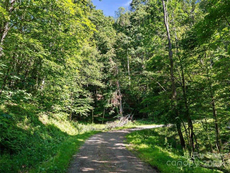 Property image 3 of 0 Chestnut Lane in Wolf Laurel, Mars Hill, NC 28754