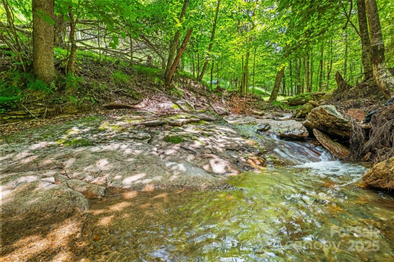 Property image 3 at 321 Charter Hills Road, Beech Mountain, NC 28604