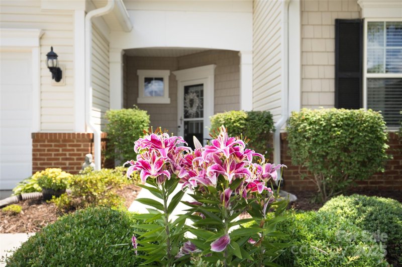 Property image 5 of 33124 Tanager Court in Sun City Carolina Lakes, Fort Mill, SC 29707