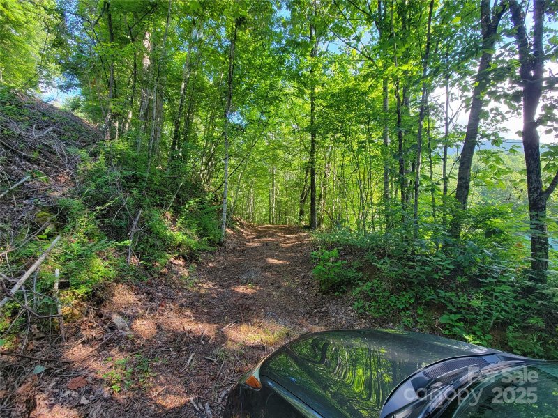 Property image 3 of 100 Village Lane in Villages of Plott Creek, Waynesville, NC 28786