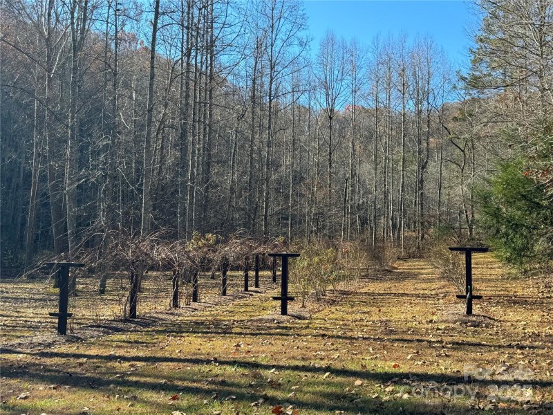 Property image 3 of Site 5 Woodfen Lane in Three Creeks, Lake Lure, NC 28746