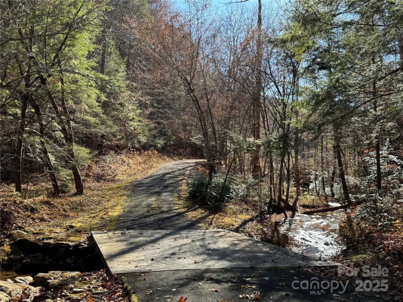 Property image 4 of Site 5 Woodfen Lane in Three Creeks, Lake Lure, NC 28746