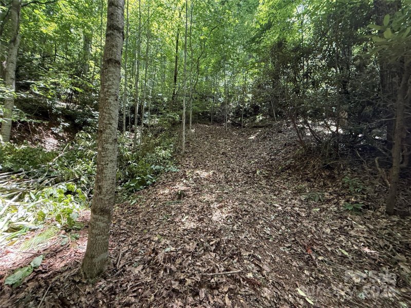 Property image 4 of 25 Fairview Pointe Drive in Fairview Pointe, Fairview, NC 28730