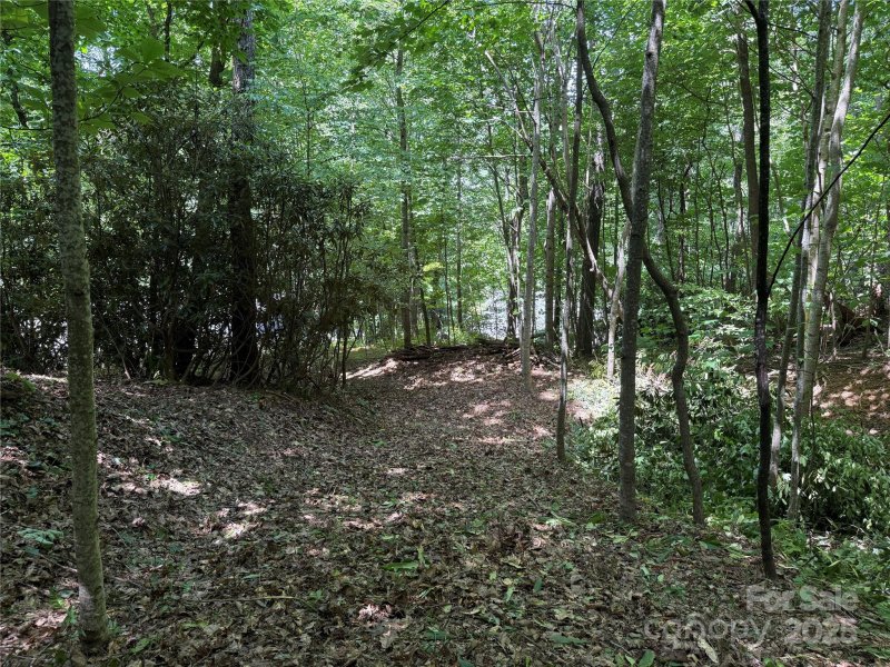 Property image 5 of 25 Fairview Pointe Drive in Fairview Pointe, Fairview, NC 28730