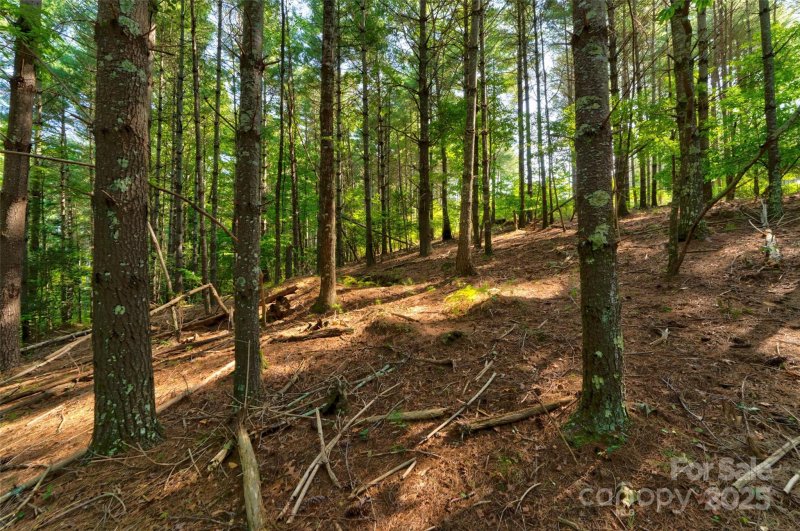 Property image 4 of 77 Whispering Pines Trail in The Peninsula at Lake James, Nebo, NC 28761