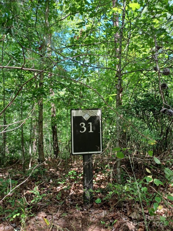 Property image 3 of 88 Lowden Drive in Blackberry Creek, Nebo, NC 28761