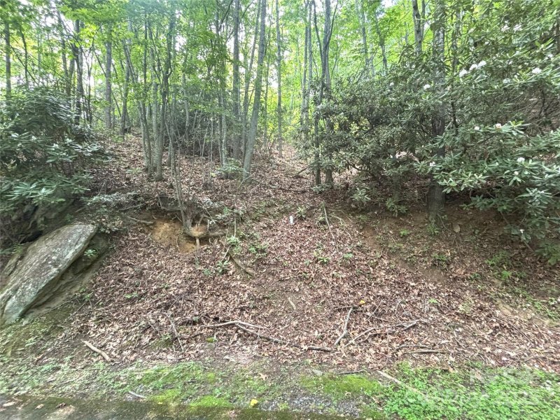 Property image 3 of 000 Valley View Drive in Big Springs Cove Estates, Maggie Valley, NC 28751