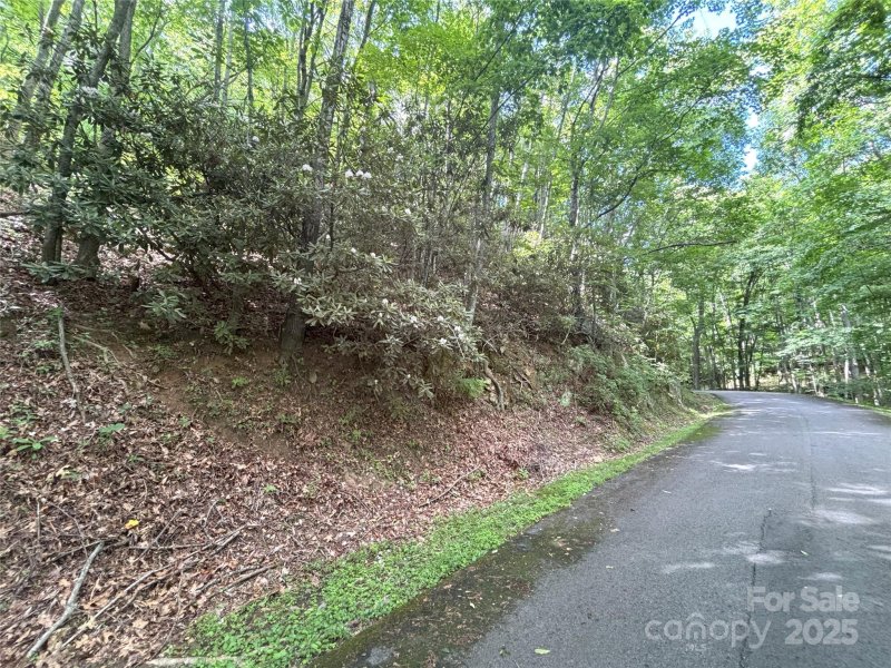 Property image 5 of 000 Valley View Drive in Big Springs Cove Estates, Maggie Valley, NC 28751