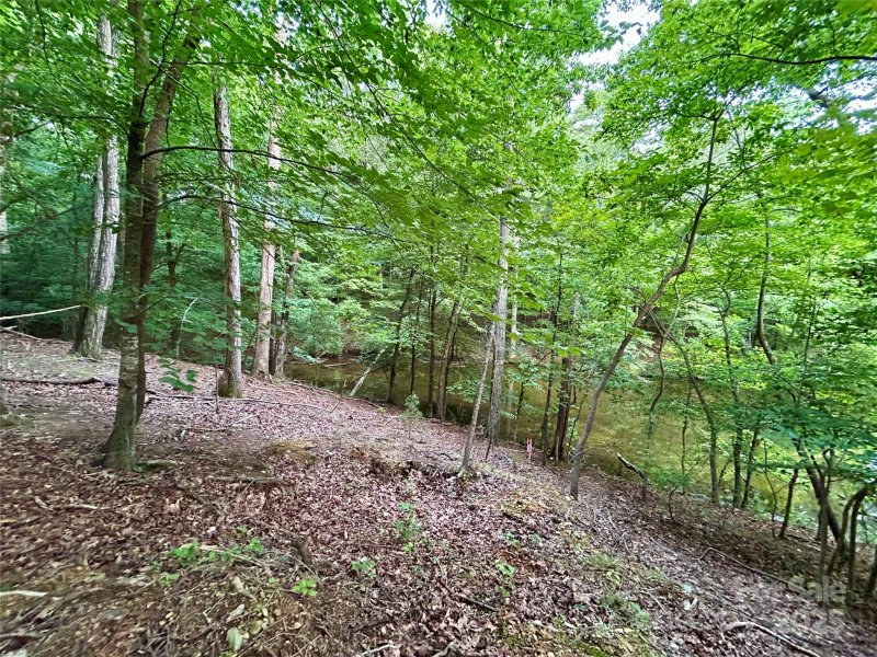 Property image 2 of 00 Bridgeview Court in Edgewater, Norwood, NC 28128