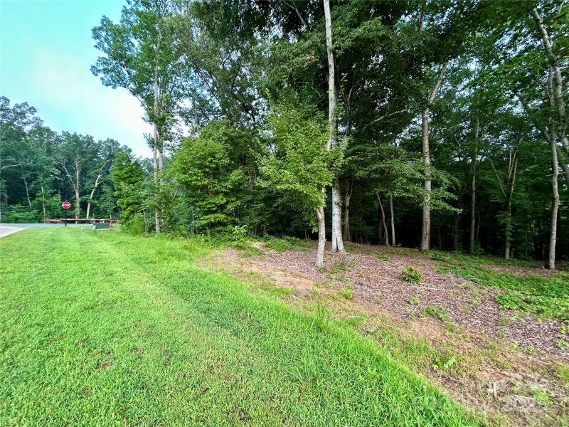 Property image 3 of 00 Bridgeview Court in Edgewater, Norwood, NC 28128