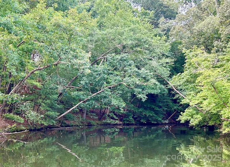 Property image 4 of 00 Bridgeview Court in Edgewater, Norwood, NC 28128