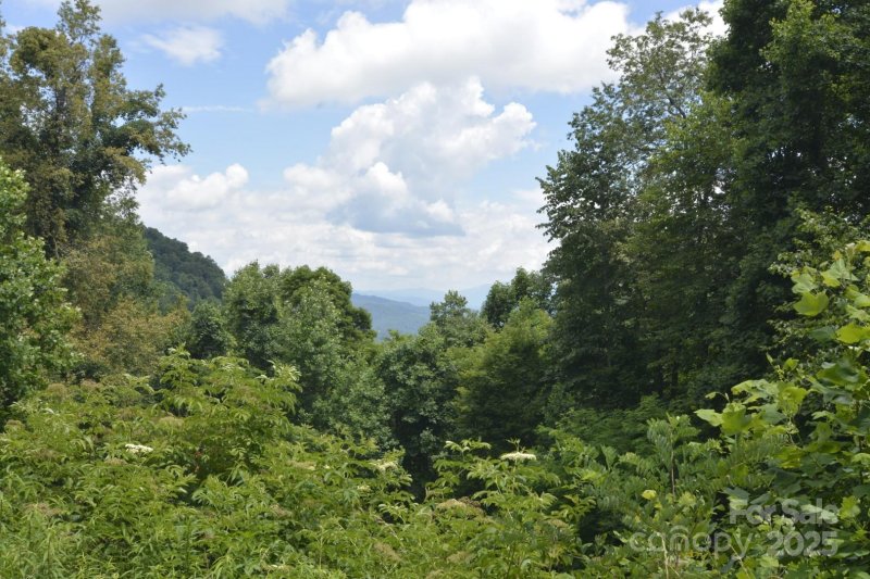 Property image 4 of 999 Red Wolf Run in Red Wolf Run, Mars Hill, NC 28754