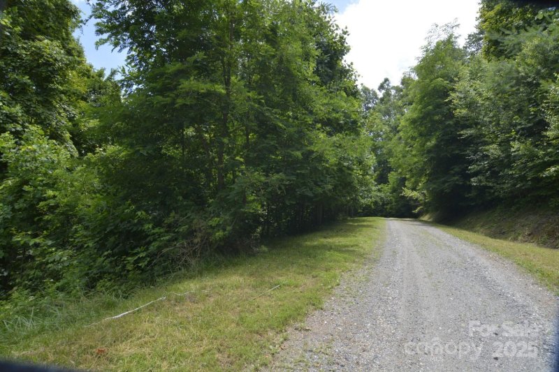 Property image 5 of 999 Red Wolf Run in Red Wolf Run, Mars Hill, NC 28754