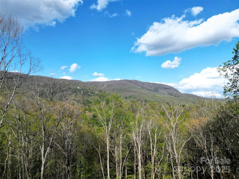 297 Easy Springs Road