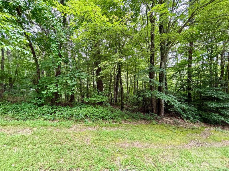 Property image 2 of 0 Sunlight Ridge Court in The Ledges of Hidden Hills, Hendersonville, NC 28792