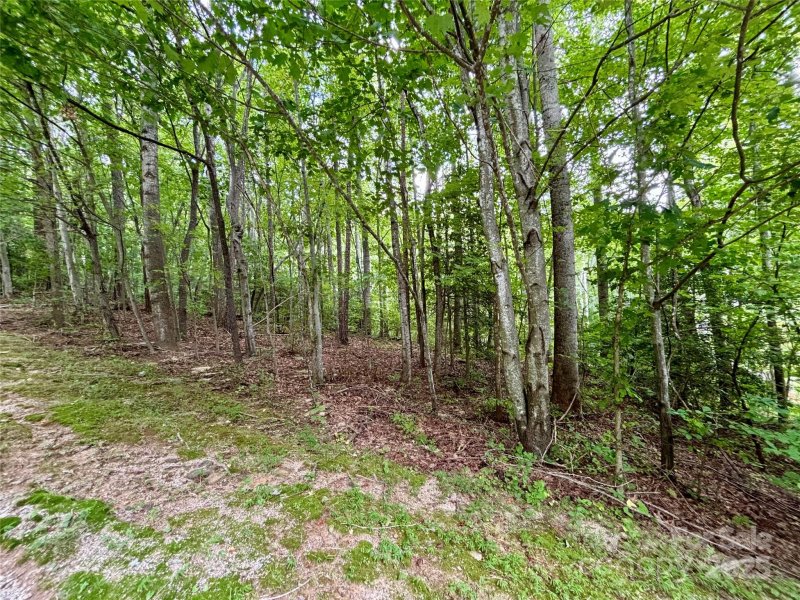 Property image 3 of 0 Sunlight Ridge Court in The Ledges of Hidden Hills, Hendersonville, NC 28792