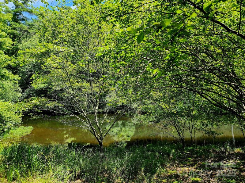 Property image 2 at 41 L Cardinal Drive, Lake Toxaway, NC 28747