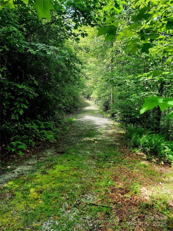 Property image 5 at 41 L Cardinal Drive, Lake Toxaway, NC 28747