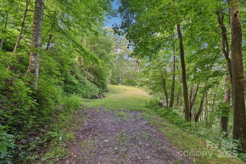 Property image 3 of 0000 Plott Balsam Road in Cranberry Falls, Maggie Valley, NC 28751