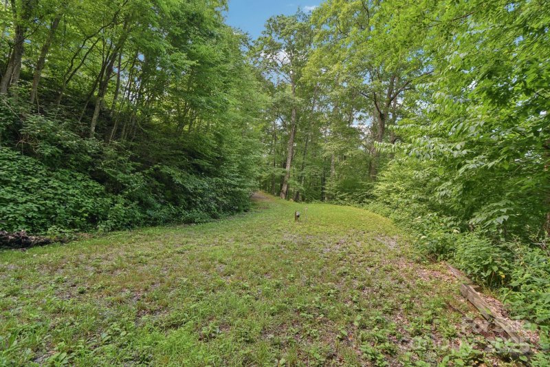 Property image 4 of 0000 Plott Balsam Road in Cranberry Falls, Maggie Valley, NC 28751
