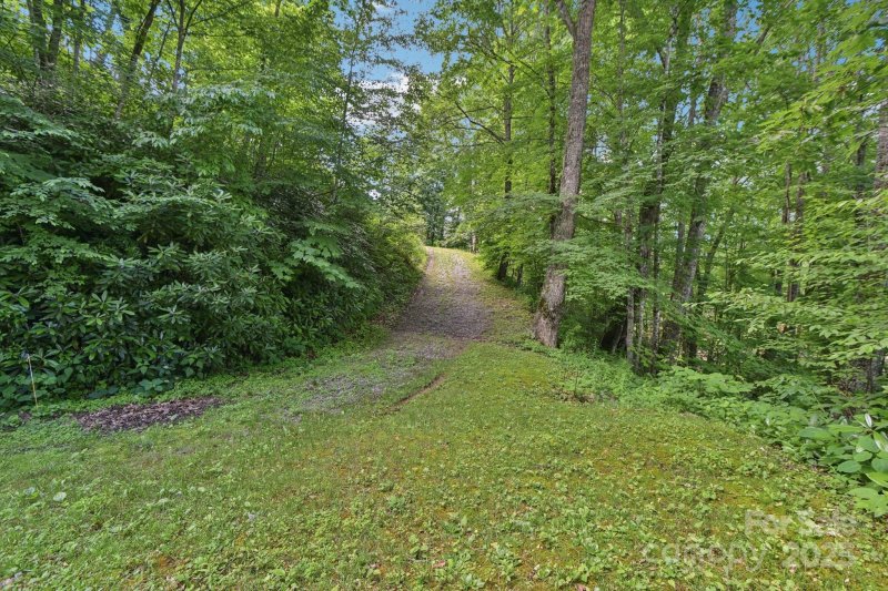 Property image 5 of 0000 Plott Balsam Road in Cranberry Falls, Maggie Valley, NC 28751