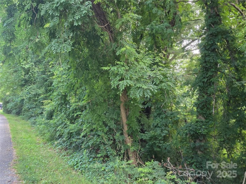 Property image 4 at Tbd Vista Falls Road, Mills River, NC 28759