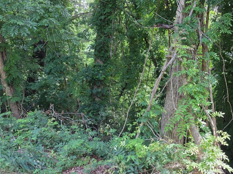 Property image 5 at Tbd Vista Falls Road, Mills River, NC 28759