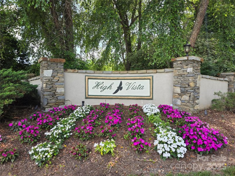 Property image 2 of 99999 Laurel Drive in High Vista, Mills River, NC 28759