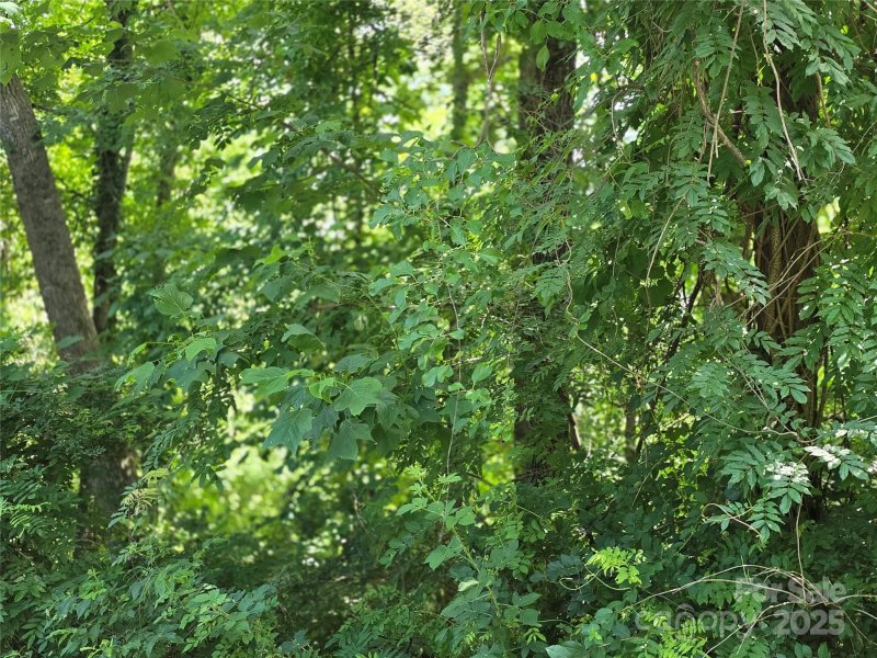 Property image 4 of 99999 Laurel Drive in High Vista, Mills River, NC 28759