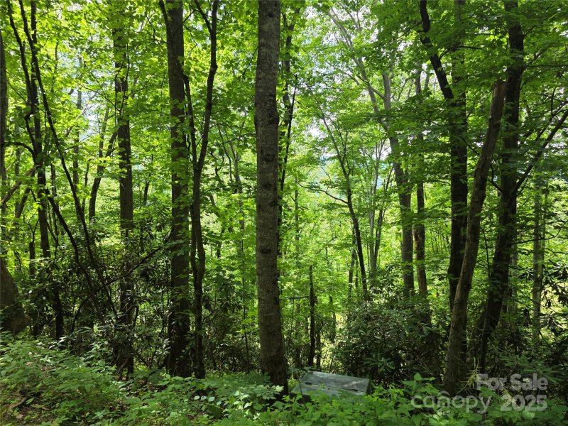 Property image 4 of 99999 Red Oak Drive in High Vista, Mills River, NC 28759