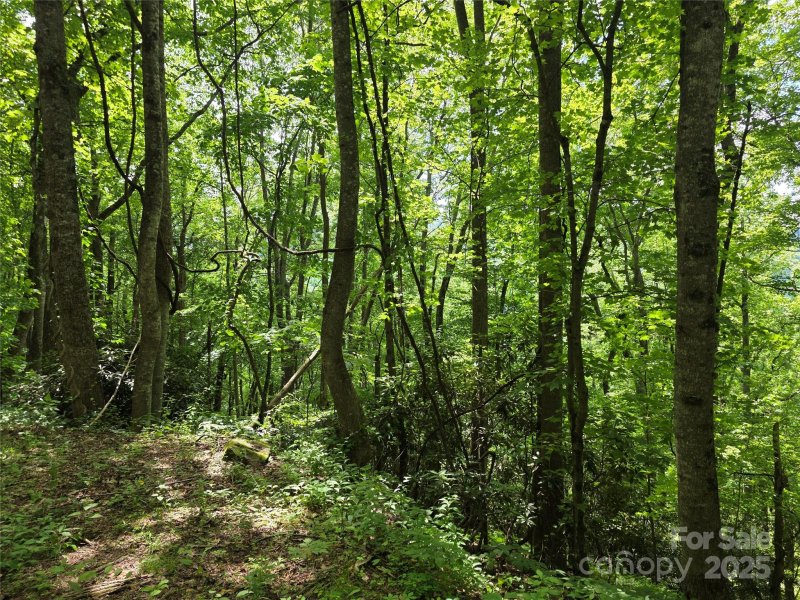 Property image 5 of 99999 Red Oak Drive in High Vista, Mills River, NC 28759