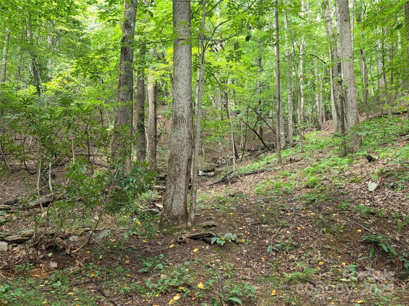Property image 4 of 217 High Vista Road in High Vista, Mills River, NC 28759