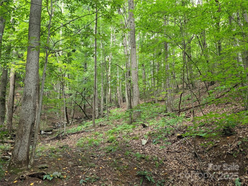 Property image 5 of 217 High Vista Road in High Vista, Mills River, NC 28759