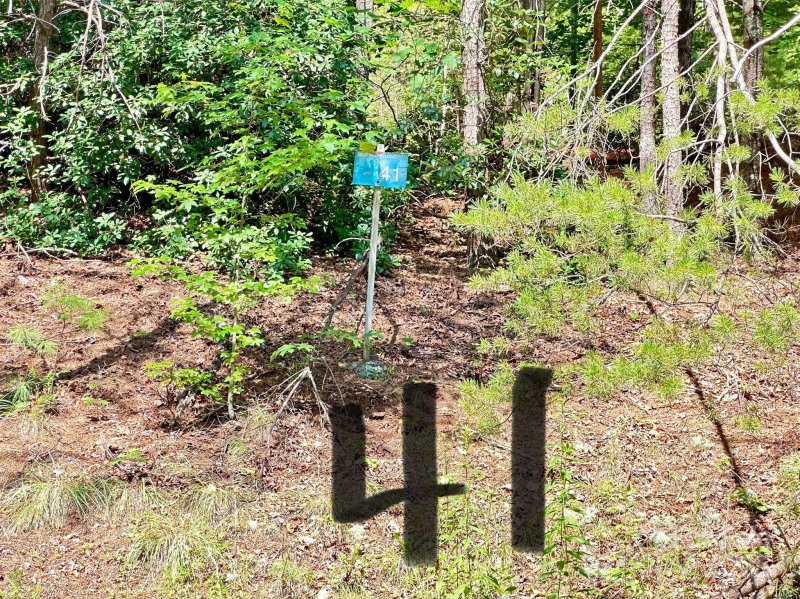 Property image 5 of 00 Plantation Drive in Plantation Point, Marion, NC 28752